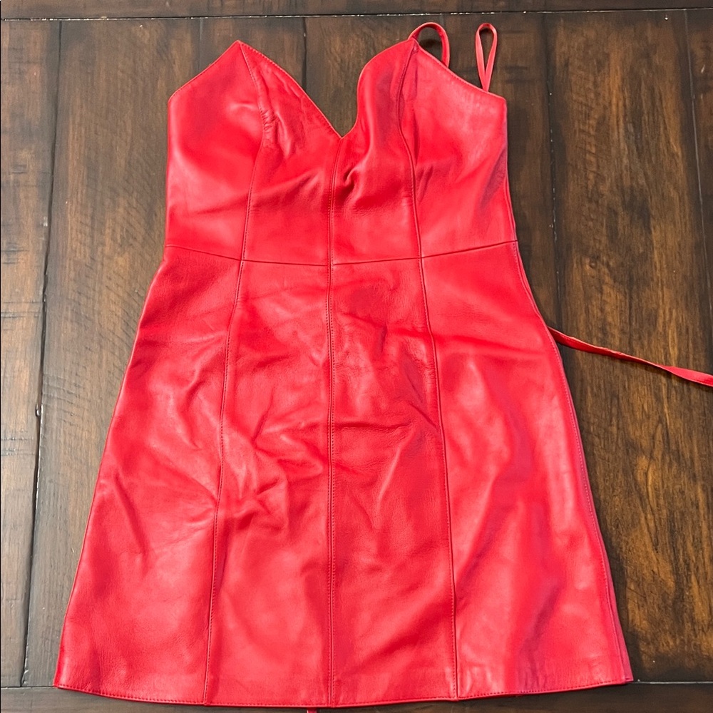 Scarlet Elegance Mini Dress